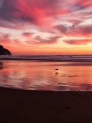 Ling Hao Qin Yuxin R