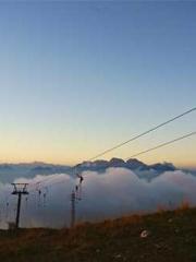 A Lifetime of Captiv