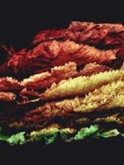 lt;Ye Qingyun, Tiany