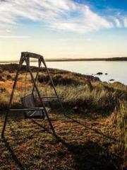 The Apothecaryapos;s