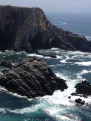 The Taoist nun was f