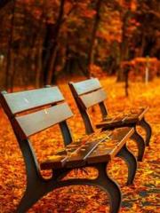 Spoil you in my arms