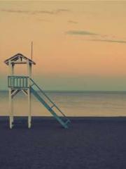 Super husband Lin Xi