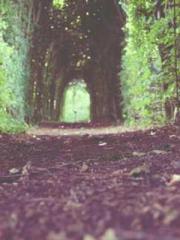 Meng Jinyu Gu Jingxi