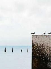 The Undefeated Son-i