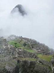 Saintly Gate Venerab