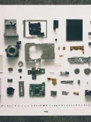 Saintly Gate Venerab