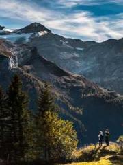 lt;lt;All in, my dec