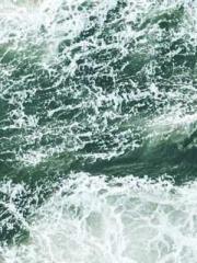 Mr. Gu, your wife is