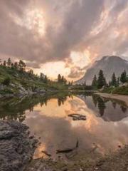 The Stand-in Wife Wa