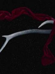 Lu Wanwan Li Jingche