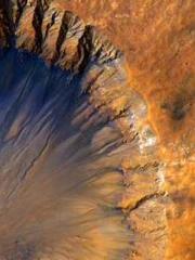 My Amazing Female Te