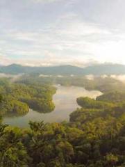 Super husband Lin Xi