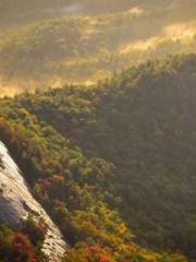 The wife wishes to b